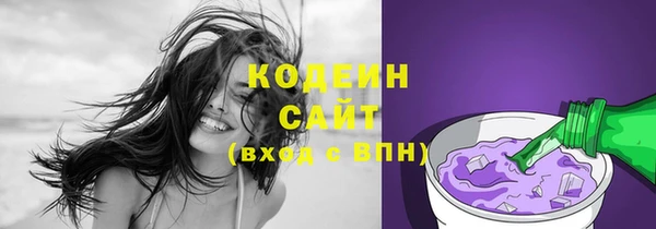 тгк Арсеньев