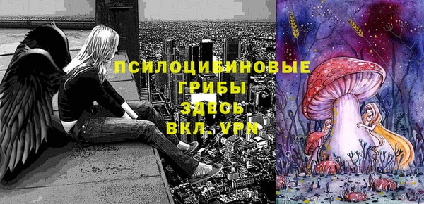 не бодяженный Инсар