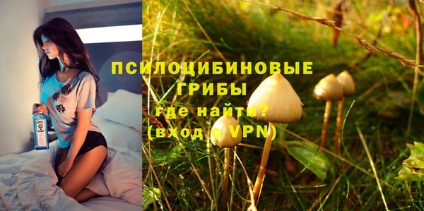 тгк Арсеньев